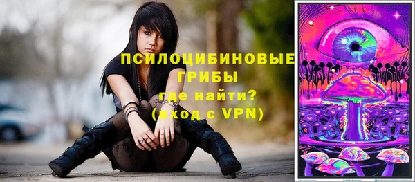 соль курить ск Алзамай
