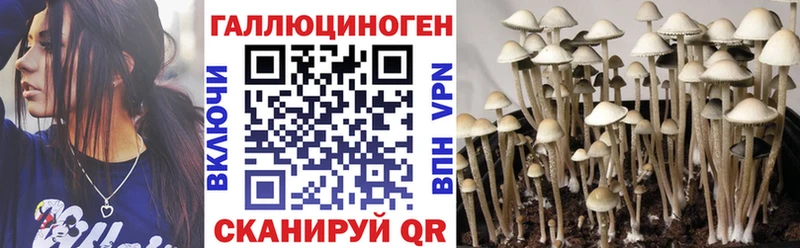 Галлюциногенные грибы прущие грибы  сколько стоит  Курган 