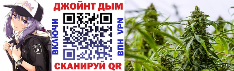 наркошоп Курган Каннабис ГИДРОПОН